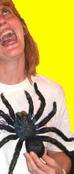 Picture of spider attack for outside the box