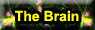 The Brain at HQ