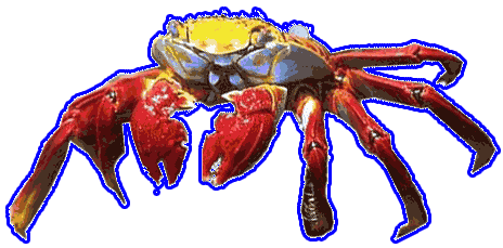 sea crab
