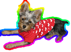Picture of Mouse too