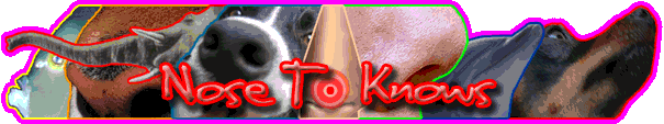 The Knows nose picture