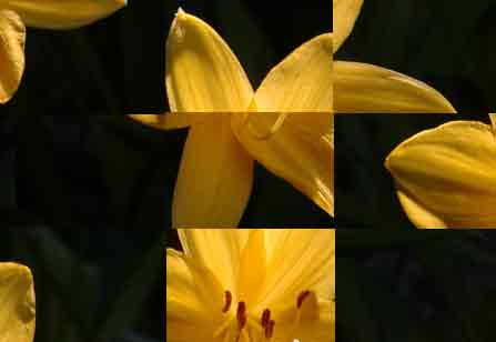 ScramBambled Picture-Click to UnScrambam